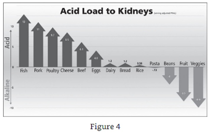 Acid Load on Kidneys How Not To Die.jpg