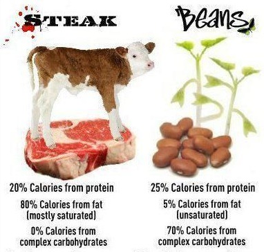 Steak Beans in Macronutrient Comparison